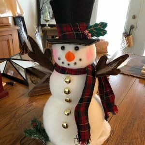 Fiber Optic Snowman Really Cute
